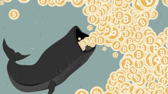 How whales manipulate bitcoin pricing.
