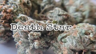 Death Star Strain - Star Wars series