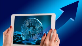 Green Crypto Market Means Harvest Time