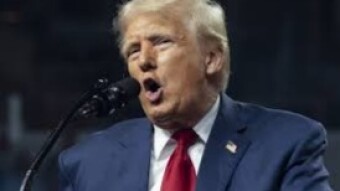 Trump Tilts the Table, Markets Leap