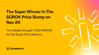 🏆 The Super Winner In The $GROK Price Slump Last Week
