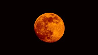 Is the Luna stablecoin crash a sign of the entire industry's death?