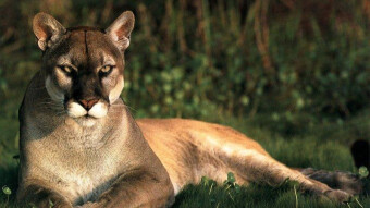 Bitcoin and Finance Charts To Start Week - 4/7