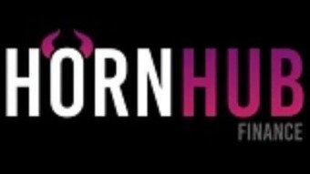 Hornhub finance - basic information
