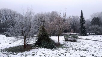 A frosty and gloomy Friday - My Actifit Report Card: November 28, 2025