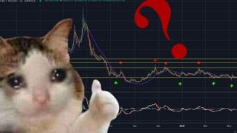How to deal with losses when you start trading
