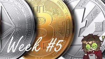 My journey with 10 shitcoins - week #5