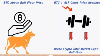 Crypto Bull Floor Break: Panic or False Bear Alarm?