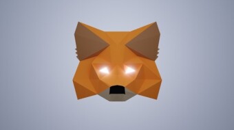 MetaMask Email Scam Warning