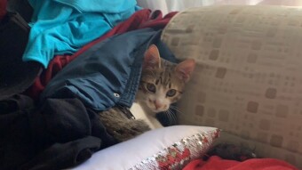 LOCOstories #20 try to hide from me ???? Hm I can see you