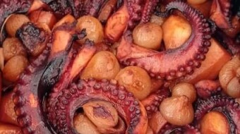 Foodbook #565 Braised Octopus Stew with Olives and onions