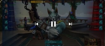 Wolf skin Victor 😎 ( paladins )