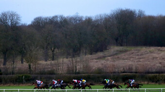 Foxey (2.45 Wetherby, 23 Feb)