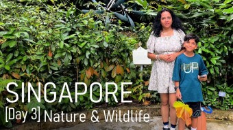 [Day 3 - Singapore] Nature & Wildlife