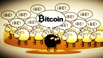 Cryptocurrencies, the Black Sheep. Congressmen concerned about the tax compliance of cryptocurrencies.
