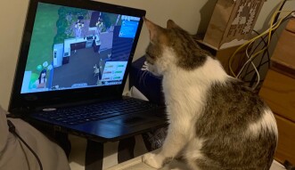 LOCOstories #8 He is playing Sims ;)