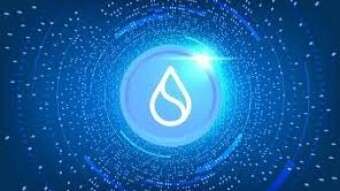 SUI price hit All Time High!- Much more ahead?