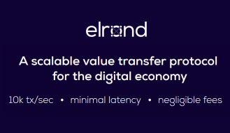 Elrond Token Metrics (Infographic)
