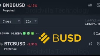 Trading Strategies for BUSD-Margined Futures Contracts