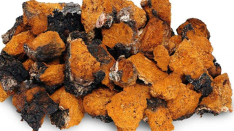 Why you should build up your immune system with Chaga, Usnea, and Vitamin C for the current Pandemic?