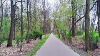 Today slight cooling, but only temporary - My Actifit Report Card: April 15 2025