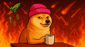 Dogwifhat: The Dog With a Pink Hat That Became a Billion-Dollar Joke (And Might Not Be Joking)