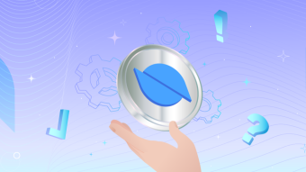The Power of Ontology: An Ecosystem Overview