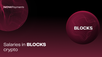 Salaries in BLOCKS crypto