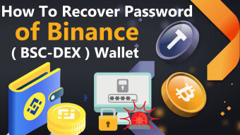 How To Recover Password of Binance ( BSC-DEX ) Wallet | Binance Smart Chain | BSC