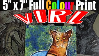 vIRL NFT versus Physical Print