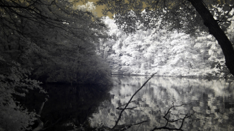 Infrared Photography - Wooded lake view