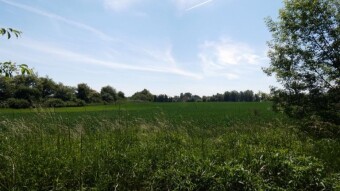 Cycling today, a little harder, because five hours of pedaling - My Actifit Report Card: June 1 2023