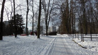 A pleasant, sunny and warm Monday - My Actifit Report Card: January 22 2024