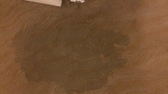 Wet Carpet