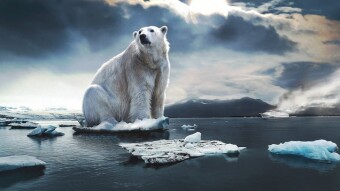 Global Warming & Climate Change - Are we confronted with fierce urgency?