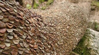 The Wish Tree