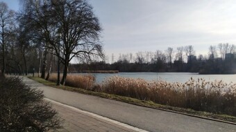 Beautiful sunny Friday - My Actifit Report Card: February 27, 2026