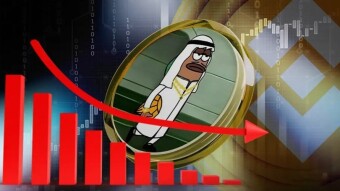 40% fall in MUBARAK after listing in Binance; new crisis in the mimquin market?