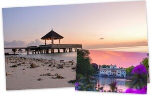 Calls for stories photo blogging competitions