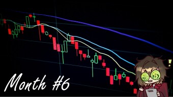 Hodling 11 Shitcoins - Month 6 - The December Dip