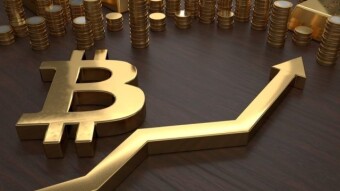 Bitcoin and altcoins prices are constantly rising, and it will continue…