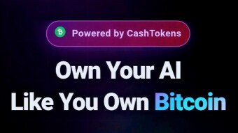 Qube.cash: Why Artificial Intelligence Sovereignty Begins on Bitcoin Cash