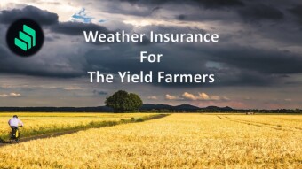 COMP weather insurance for the yield farmers