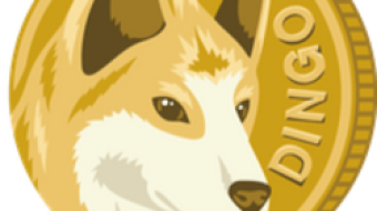 Is Dingocoin Just another Joke?