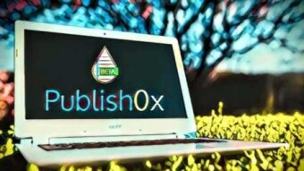 Publish0x is better seen when use Brave Browser: my respect to the Team.