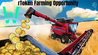rToken Farming Opportunities