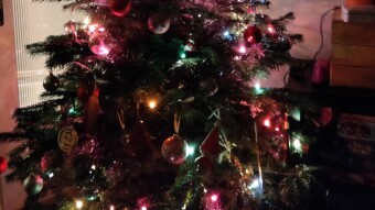 The Tree is Dressed!