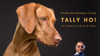 Benefits and Advantages of Using the Tally Ho! Crypto Wallet to Connect to DeFi & Web3