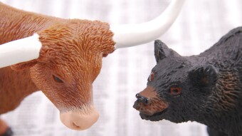 Bull & Bear - A short description