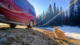 Van Life: Beyond Human Limits